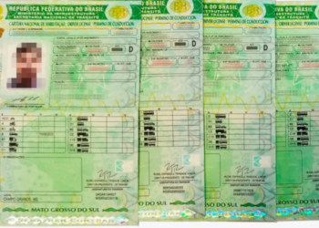 Projeto de lei quer emissão de PPD em 24 horas para novos condutores Imagem - Divulgação Detran MS