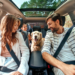 7 dicas para viagem segura no fim de ano Imagem - AdobeStock