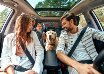 Veja 6 dicas para evitar acidentes em viagem de fim de ano Imagem - AdobeStock