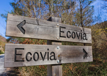 Você sabe o que é uma ecovia? Descubra agora Imagem - AdobeStock