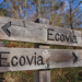 Você sabe o que é uma ecovia? Descubra agora Imagem - AdobeStock