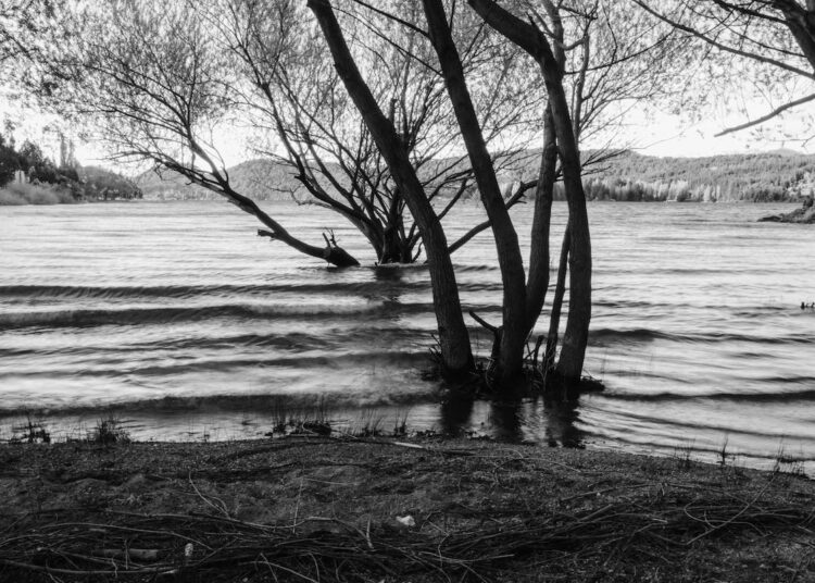 Vítimas de enchentes podem pedir placas de veículos sem custo Reprodução - Pexels