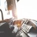 Atenção! PRF fiscaliza jornada de trabalho de motoristas Reprodução - Pexels