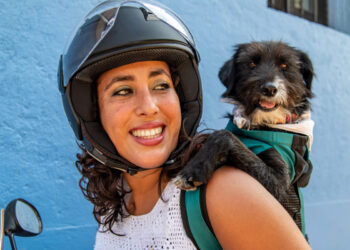 Transportar cachorro em moto