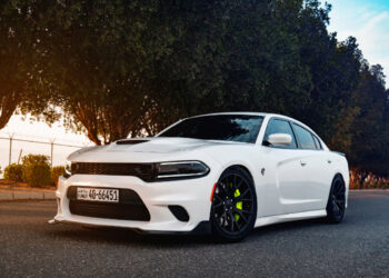 Trocar cor do veículo no documento