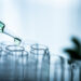 Perdeu o prazo para exame toxicológico