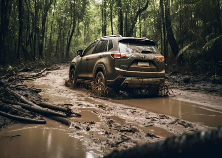 Confira os cuidados ao Dirigir em Estradas de Terra