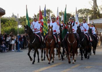 Transporte de Carga Viva Conheça o Papel do RPMon na Segurança e Ordem