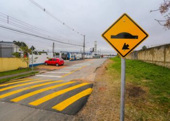 Lombadas no Trânsito: O Que Você Precisa Saber!