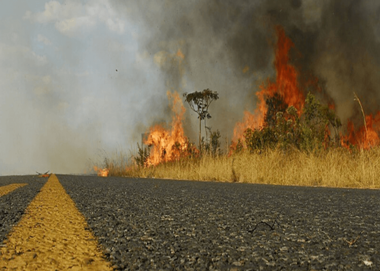Queimadas nas estradas: Saiba como proteger sua viagem e sua vida
