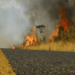 Queimadas nas estradas: Saiba como proteger sua viagem e sua vida