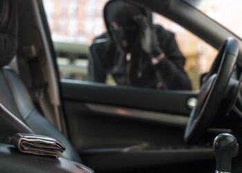 Por Que a CNH é Alvo de Criminosos: Entenda os Riscos