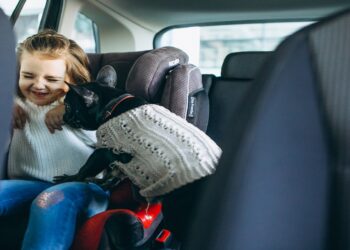 Lei da Cadeirinha Infantil O que você precisa saber para proteger seu filho