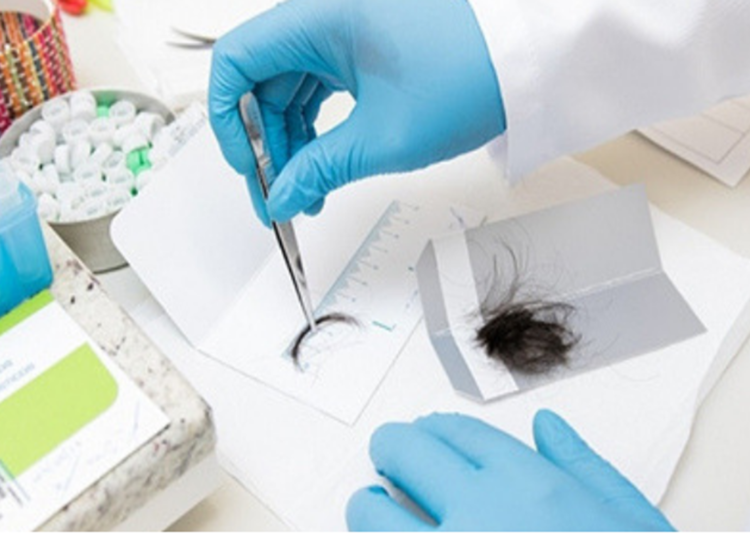 Multa de R$1.467,35 volta a valer Saiba o que mudou na Lei de Trânsito