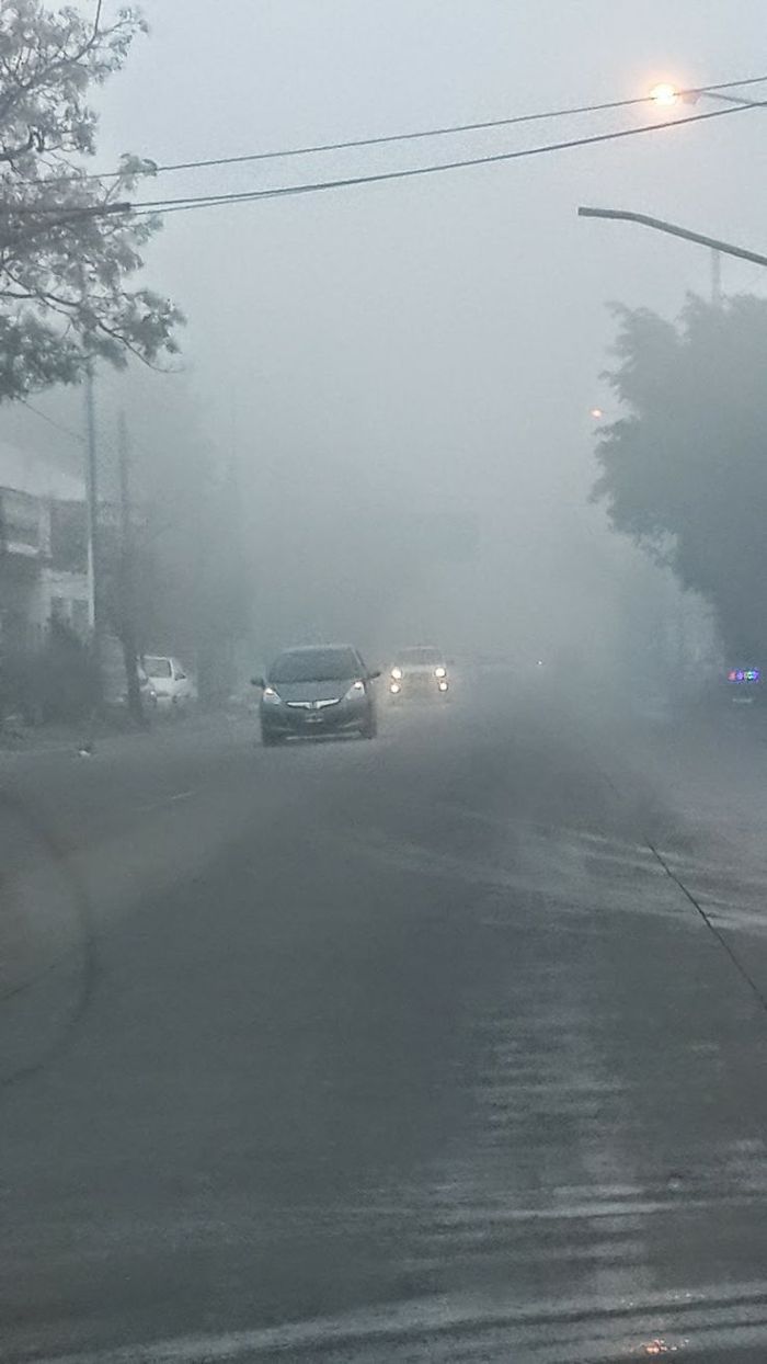 Carros circulando em área urbana com forte neblina ao amanhecer.