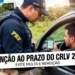 Policial rodoviário federal verifica documento digital de motorista em abordagem de trânsito.