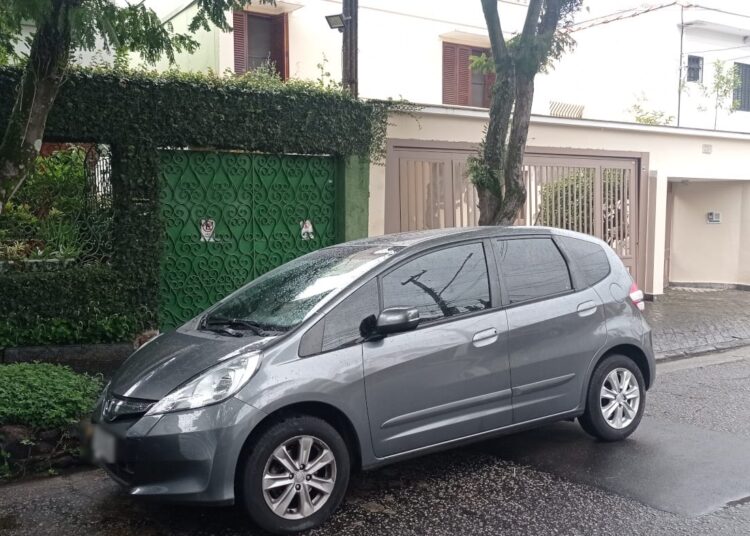 Veículo cinza estacionado em frente ao portão de garagem em rua residencial