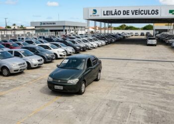 Diversos carros alinhados no pátio do Detran-RN com placa de identificação para leilão de veículos