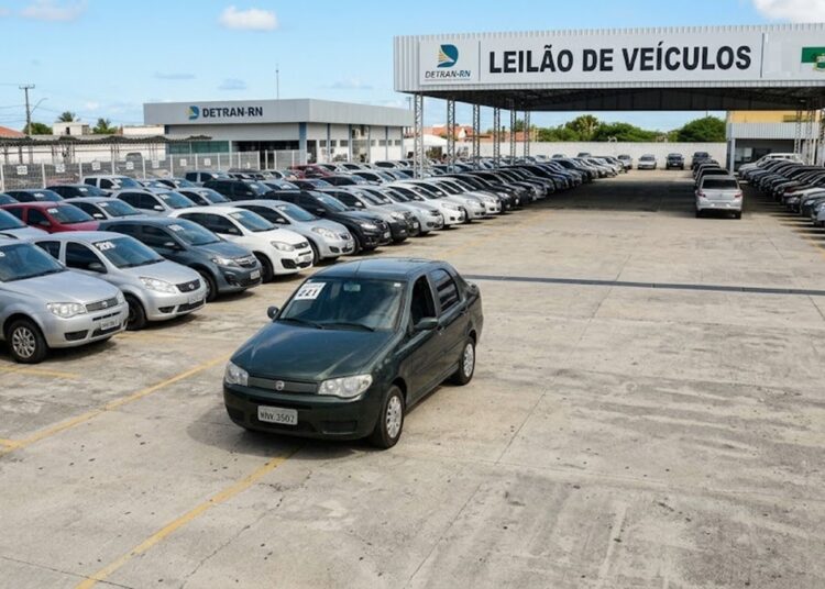 Diversos carros alinhados no pátio do Detran-RN com placa de identificação para leilão de veículos